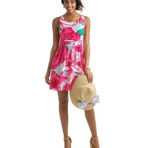Vinyard Vines Dress
